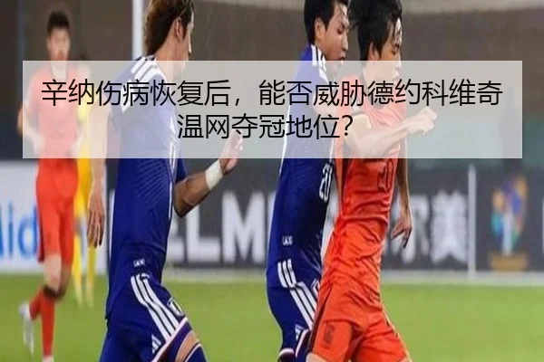 辛纳伤病恢复后，能否威胁德约科维奇温网夺冠地位？